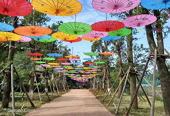 金沙湖风景区第 6 张图片