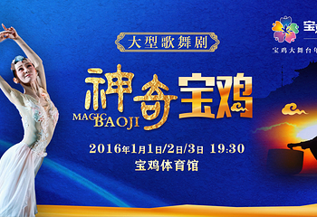 神奇宝鸡第 1 张图片