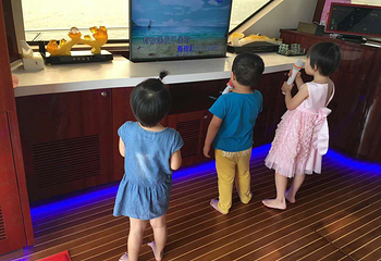 惠州金帆游艇第 11 张图片