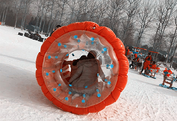 蟹岛冰雪乐园第 5 张图片