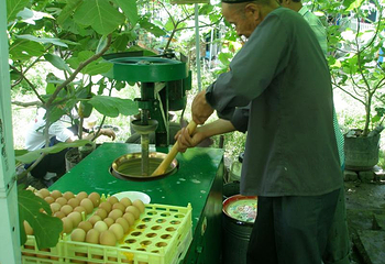 央布拉克民俗村第 2 张图片