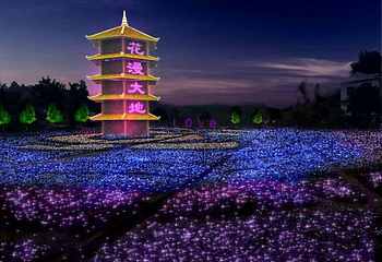 凤凰花海第 19 张图片