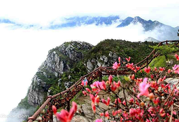 锦绣谷-险峰第 6 张图片
