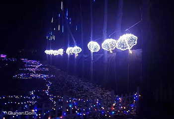 香草湖梦幻灯光节第 3 张图片
