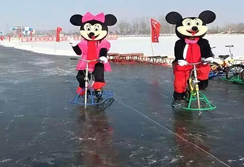 沈阳仟睿达冰雪大世界第 2 张图片