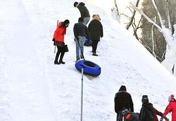 青年公园雪世界第 3 张图片
