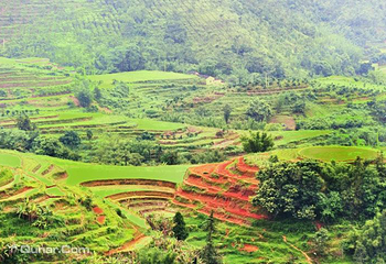 坪山梯田旅游区第 5 张图片