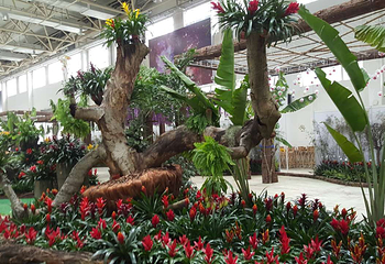 陈村花卉世界第 22 张图片