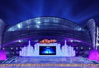 沈阳奥体冰雪嘉年华第 37 张图片
