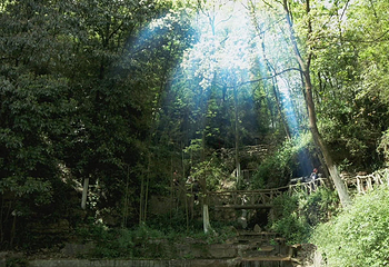 三峡湿地—杨守敬书院第 16 张图片