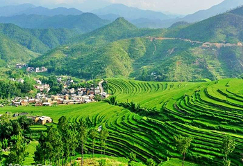 坪山梯田旅游区第 6 张图片