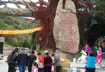 猴石国家森林公园第 15 张图片