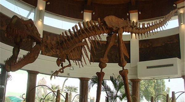 锦州国际会展中心侏罗纪恐龙园展