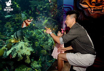 上海长风海洋世界第 37 张图片