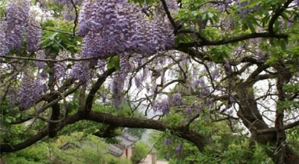 石佛山休闲观光景区