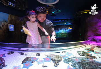 上海长风海洋世界第 23 张图片