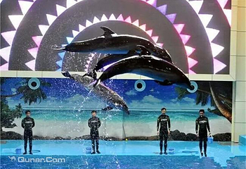 合肥海洋世界第 6 张图片