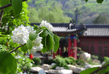 华清宫第 82 张图片
