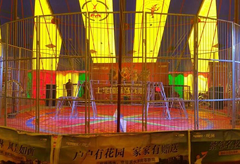 徐州加勒比马戏大世界第 1 张图片