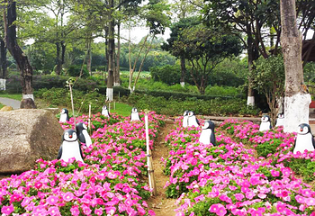 梦幻百花洲第 12 张图片