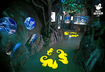 上海长风海洋世界第 35 张图片