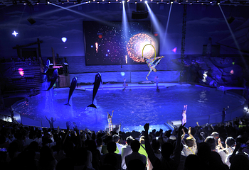 老虎滩海洋公园第 53 张图片
