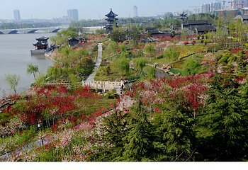 凤城河风景区第 14 张图片