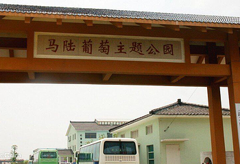 上海马陆葡萄艺术村第 1 张图片