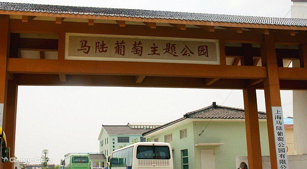 上海马陆葡萄艺术村