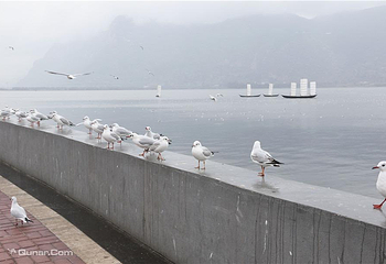 海埂大坝第 3 张图片