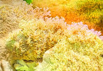 灵芝洞地下河溶洞漂流景区第 7 张图片