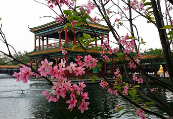 宝墨园第 75 张图片