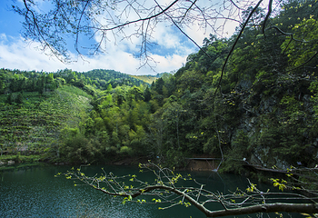 醉山野景区第 15 张图片