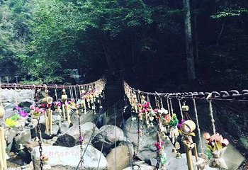 醉山野景区第 26 张图片