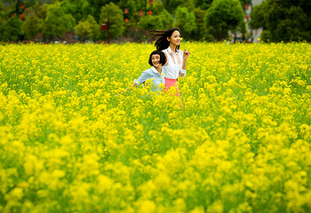 汉中油菜花第 1 张图片