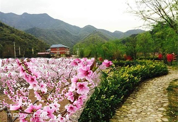 安吉江南桃花源第 1 张图片