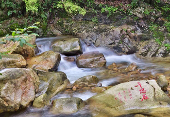 醉山野景区第 17 张图片