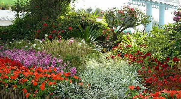 广州花卉博览园