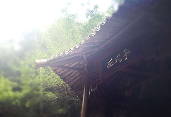 醉山野景区第 21 张图片