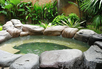冠景温泉第 10 张图片