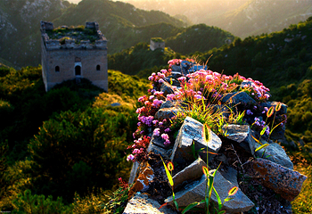 白石山世界地质公园第 47 张图片