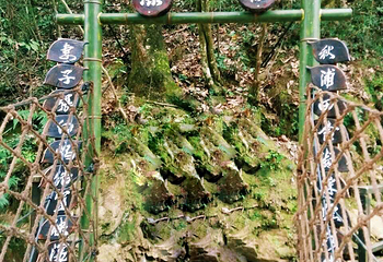 醉山野景区第 20 张图片