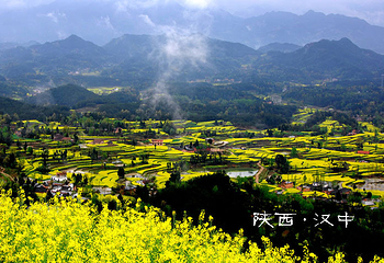 汉中油菜花第 2 张图片