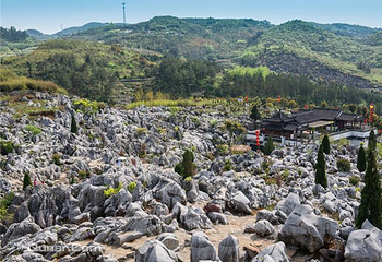 丫山花海石林第 34 张图片