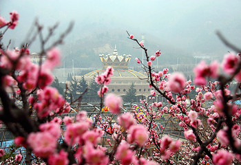 塔山旅游风景区第 39 张图片