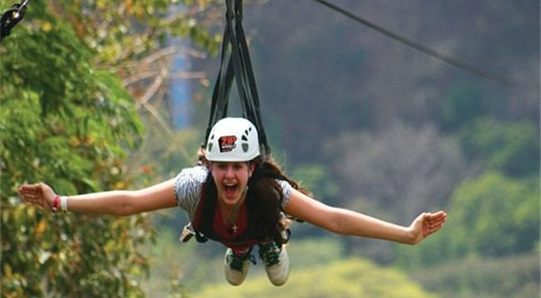 悉尼树顶公园探险