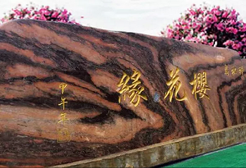 珠海海泉湾樱花缘第 1 张图片