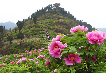 恺之峰旅游区第 35 张图片