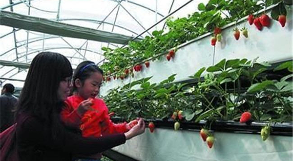 青岛法海寺生态农业观光园