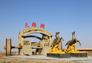 腾格里沙漠天鹅湖第 39 张图片